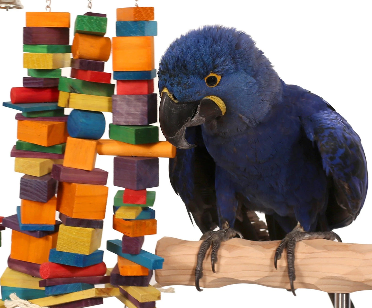 Wooden Parrot Toy