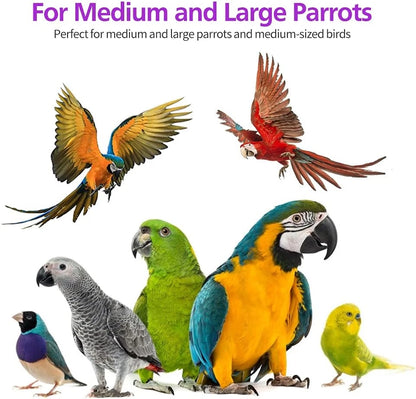 Large Wooden Parrot Toy